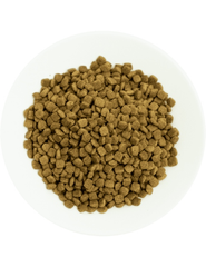 Prochoice Cat Pro 37 Kitten Chicken 2 Kg | P4608