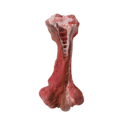 Dog Bone - Rubber - Beef Flavor