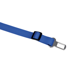 Safety Leash