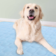 OEM Foldable Pet Bed - Blue