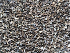 Manitoba Kardo Selvatico Bird Seed 500g | 3698/S