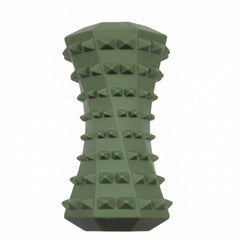 Prickly Dumbbell Squeaky & Chew Dog Toy | SW0189
