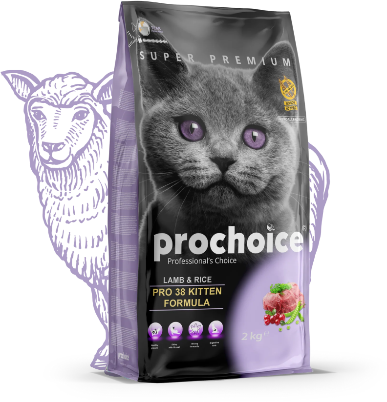 Prochoice Cat Pro 38 Kitten Lamb + Rice 2 Kg | P4603