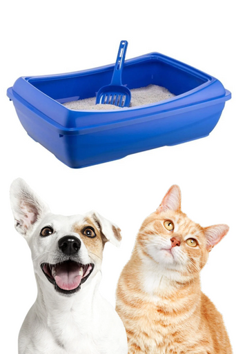 Pets Clean Open Big Toilet