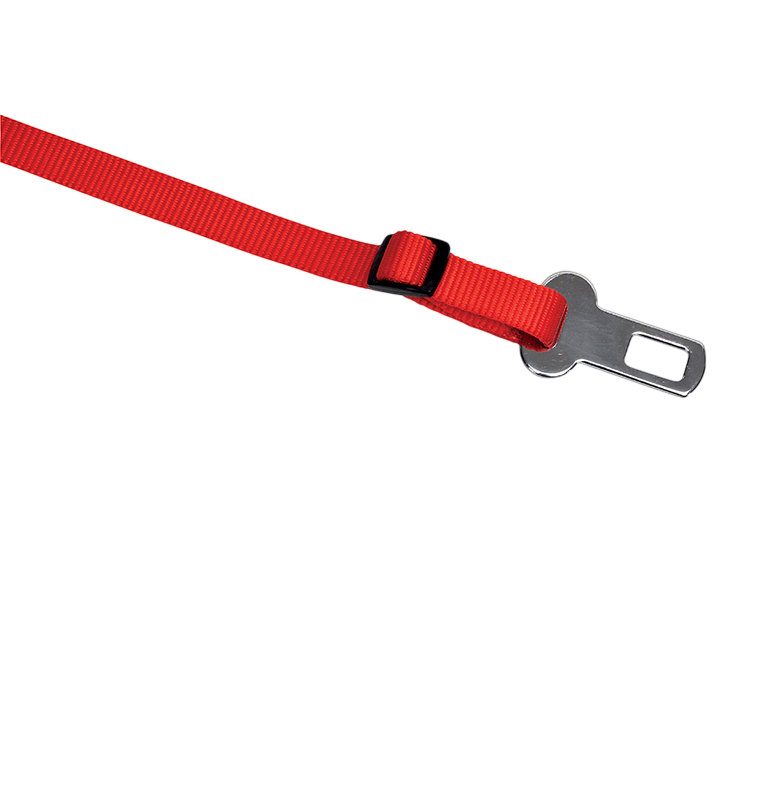 Safety Leash