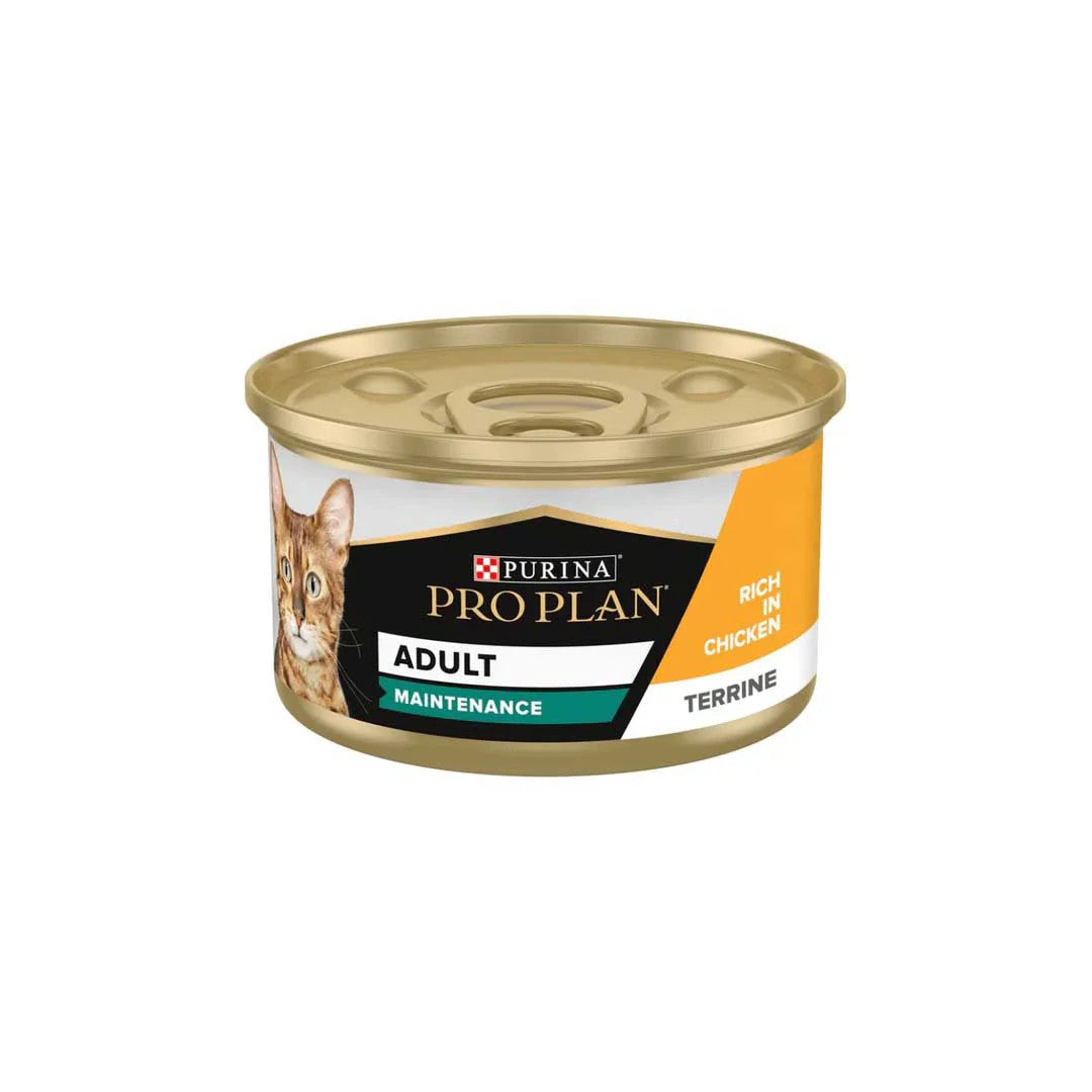 Pro Plan Adult Maintenance Mousse Chicken Wet Cat Food - 85g | 205048